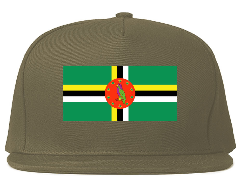 Dominica Flag Country Printed Snapback Hat Cap Grey