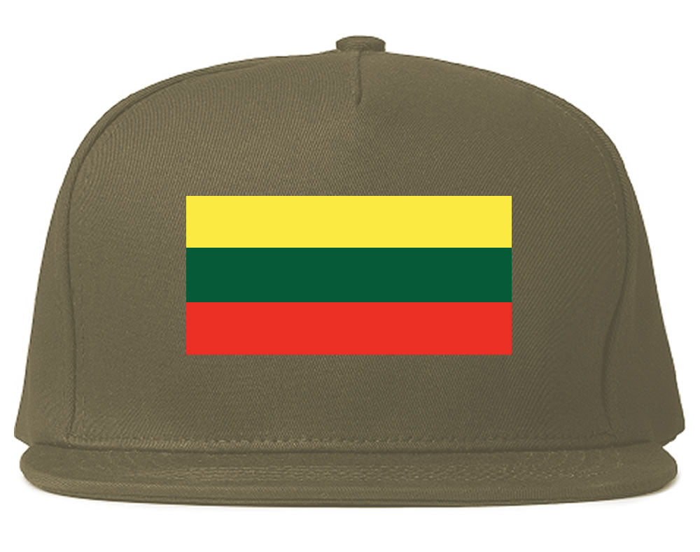 Lithuania Flag Country Printed Snapback Hat Cap Grey