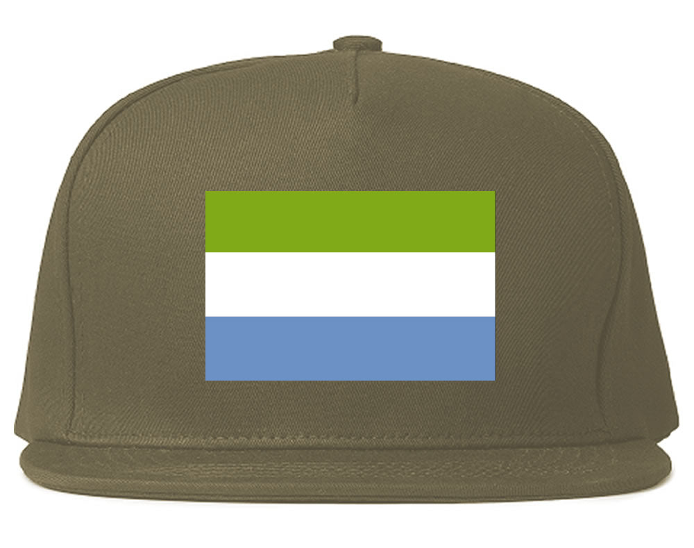 Sierra Leone Flag Country Printed Snapback Hat Cap Grey