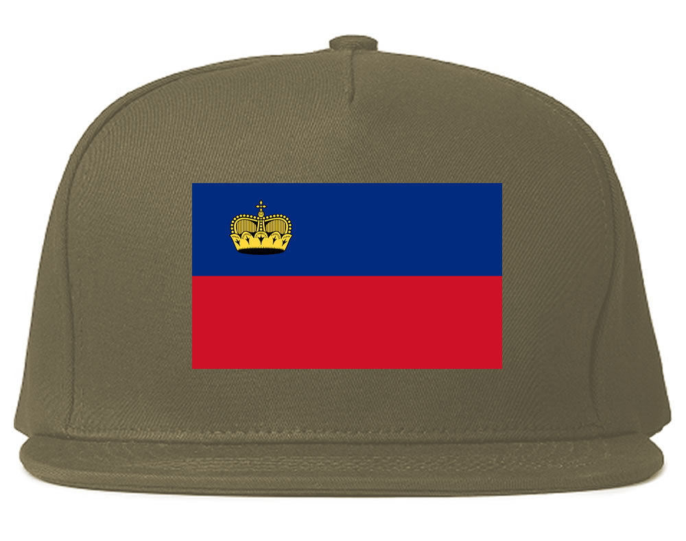 Liechtenstein Flag Country Printed Snapback Hat Cap Grey