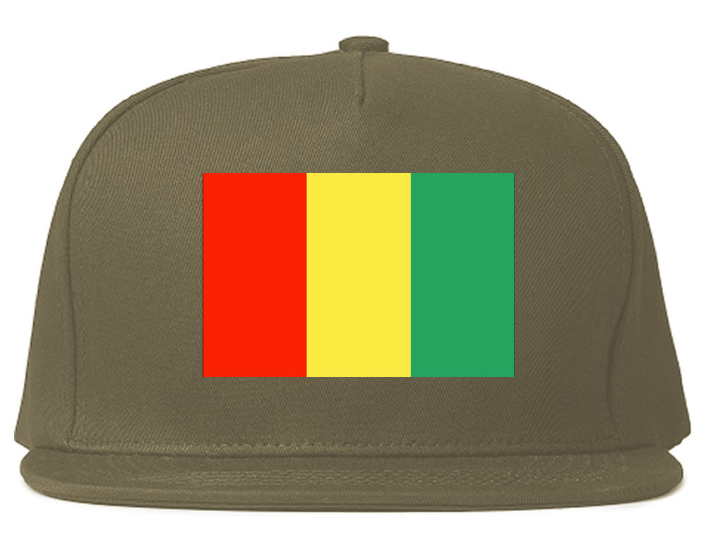 Guinea Flag Country Printed Snapback Hat Cap Grey