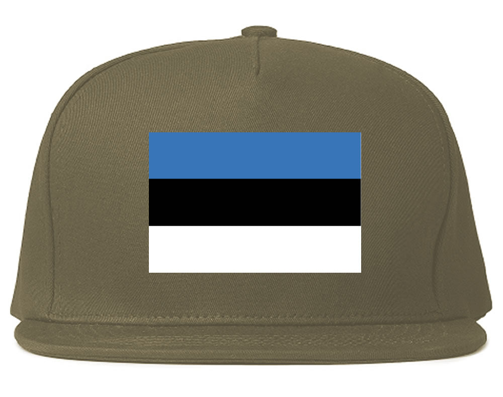 Estonia Flag Country Printed Snapback Hat Cap Grey