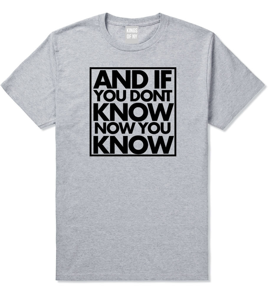 And If You Don't Know Now You Know T-Shirt in Grey By Kings Of NY