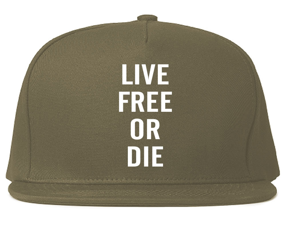 Live Free Or Die Snapback Hat in Grey By Kings Of NY