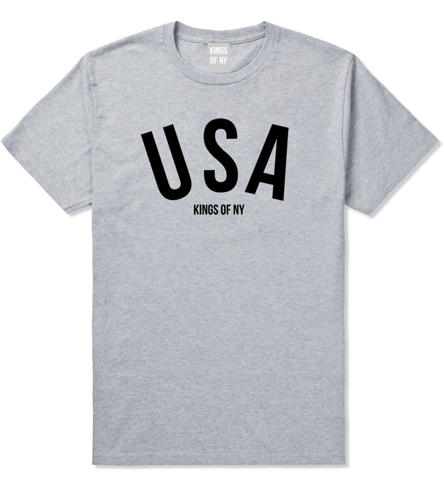 USA T-Shirt in Grey by Kings Of NY