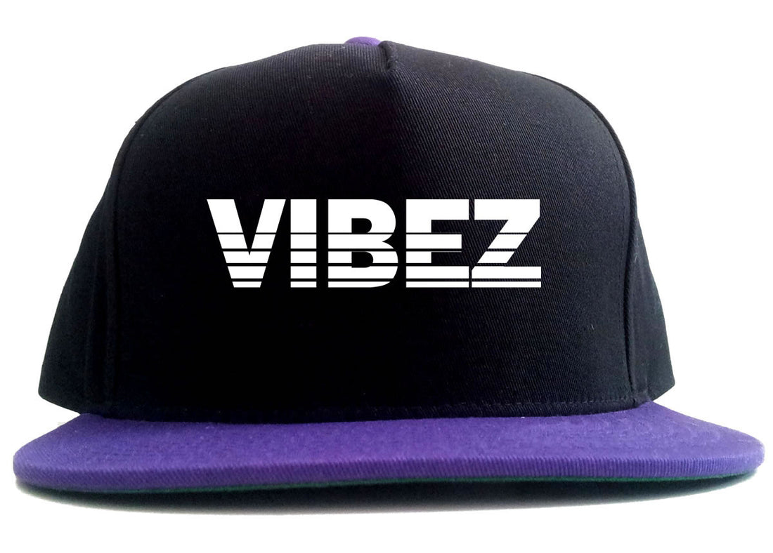 VIBEZ Racing Style 2 Tone Snapback Hat in Black and Purple by Kings Of NY